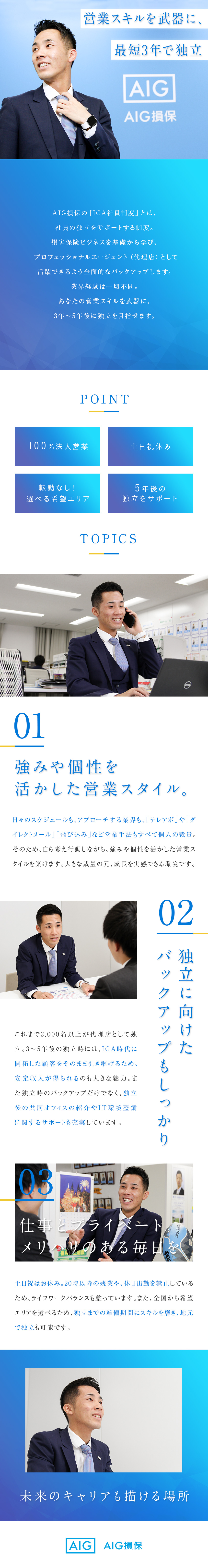 損害 保険 aig
