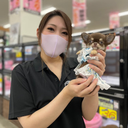 株式会社セシル ペットショップのエリアマネージャー候補 ショップスタッフ 勤務地 堺市美原区 和泉市 貝塚市 ほかの求人情報 転職ならdoda デューダ