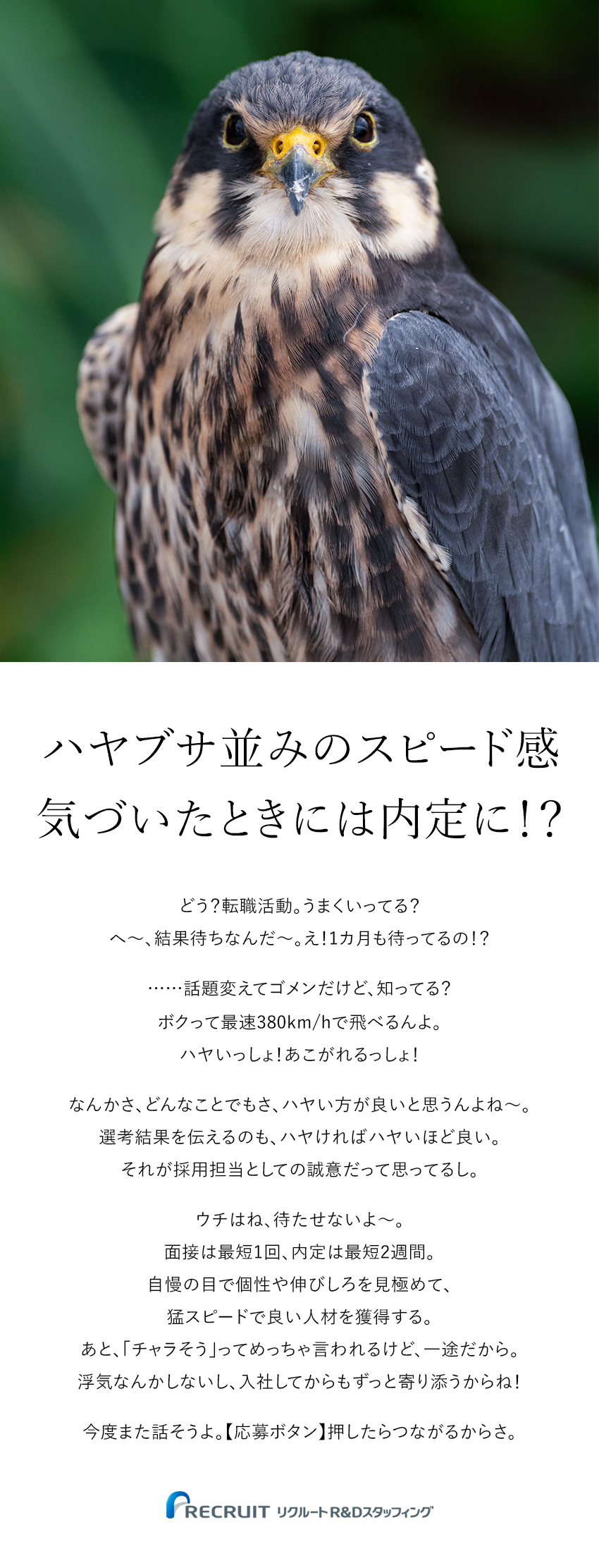 面接は最短で1回／内定は最短で2週間のスピード選考／安定感抜群！リクルートグループの一員として働ける／年休120日＆月残業平均12h！プライベートも充実／株式会社リクルートＲ＆Ｄスタッフィング(リクルートグループ)