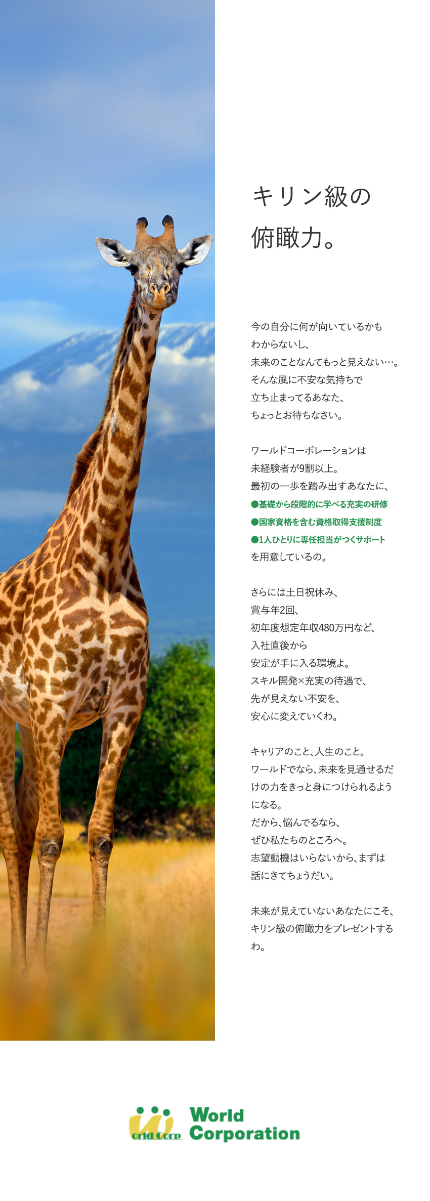 【志望動機不要】キャリアプランを一緒に考えましょう／【スキルが身につく】充実の研修でイチから学べる／【若手活躍中！】平均年齢27歳・文系出身者90％／株式会社ワールドコーポレーション(Nareru Group)