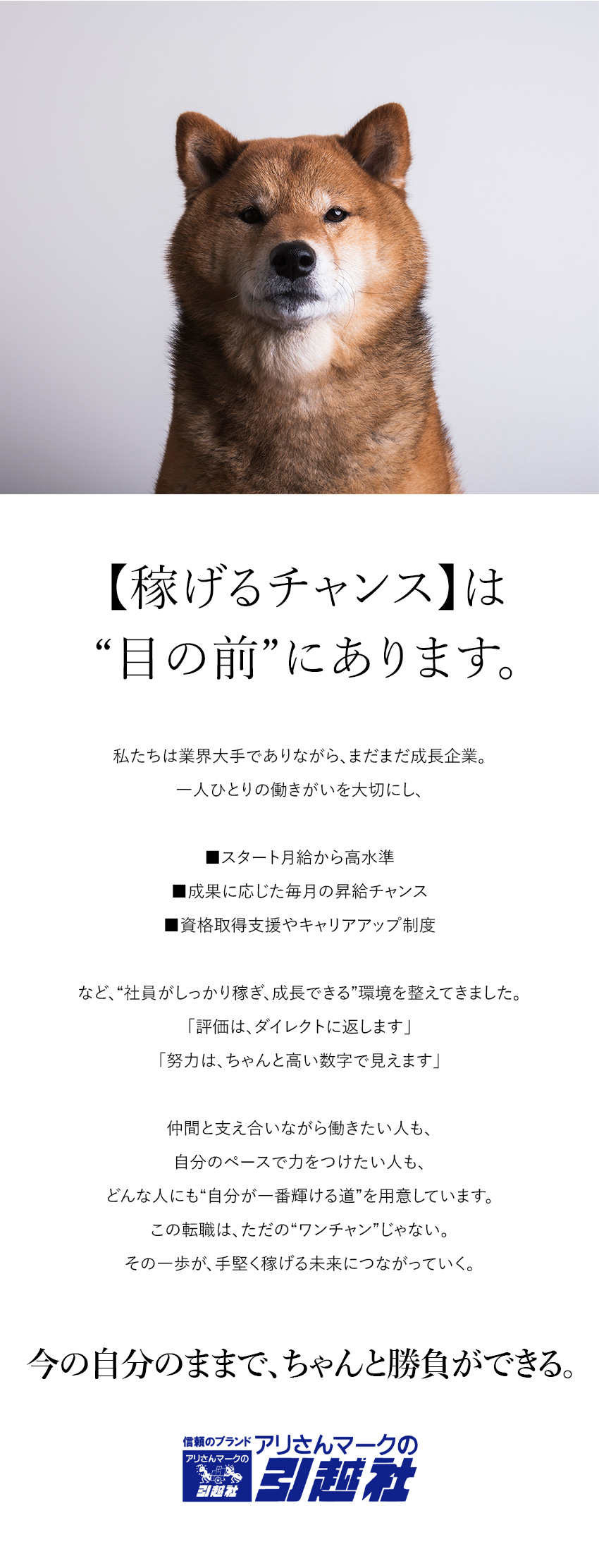 ■ノルマなしの反響営業！支店により既婚者は月給高め／■入社1年目で年収実績420万円超の支店多数！／■人柄と提案力で信頼獲得！頑張りが収入に直結／アリさんマークの引越社（株式会社引越社）