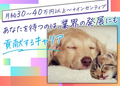 株式会社アイ＆カラー 専門分野のコンサル営業／月給30～40万円／インセン／土日休