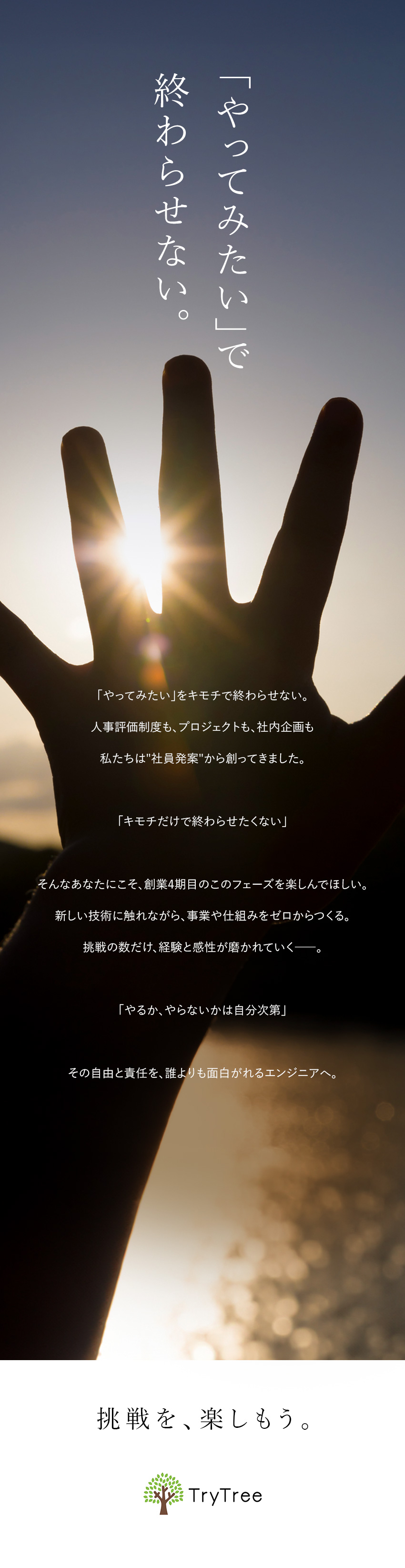 【創業4期目】急成長企業の価値創生フェーズに関わる／【挑戦できる】制度づくりもプロジェクトも社員が発案／【自由な社風】自分の感性を大切にできる環境／株式会社ＴｒｙＴｒｅｅ