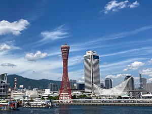 東洋電機株式会社