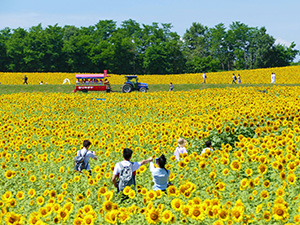 北竜町 企画・事務（地域おこし協力隊制度を活用）／未経験歓迎