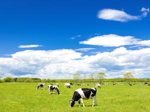 別海町 北海道別海町の地域おこし協力隊（情報発信・メディア運営）