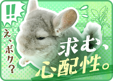 株式会社エスアイイー【TOKYO PRO Market】 IT事務／未経験歓迎／年休最大129日／在宅可／残業少なめ