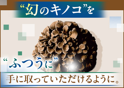 株式会社大平きのこ研究所 (タイヘイグループ) 食品メーカーの企画営業／大手取引先多数／土日休み