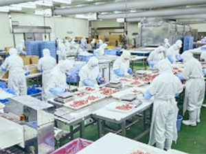 ファーストチョイス株式会社 (ハニューフーズグループ) 食肉加工製品の製造管理／年休120日／賞与実績3.7ヵ月分