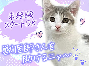 株式会社アイ＆カラー 人材コーディネーター／動物医療等に関わる／20～30代活躍中