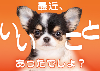 パーソルテンプスタッフ株式会社「funtable（ファンタブル）」 (パーソルグループ) 愛犬の笑顔が増える事務職／リモート有・定時退社・賞与年2回