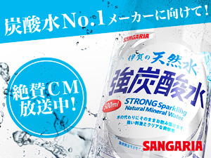株式会社日本サンガリアベバレッジカンパニー 飲料商品の提案営業／既存中心／未経験OK／年間休日122日