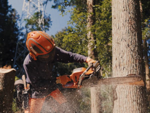 株式会社オオスギ 山間部の保安伐採／未経験歓迎／賞与年2回／資格取得支援あり