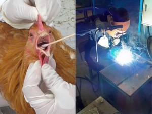 愛知県 獣医師＆職業訓練指導員／有資格者募集／新卒・中途問わず