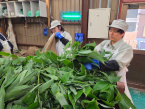 株式会社大和生物研究所 医薬品製造スタッフ／未経験歓迎／16時15分定時・残業ほぼ無