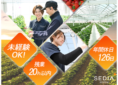 渡辺パイプ株式会社 未経験歓迎／業界大手／農業プラントメーカー／法人営業