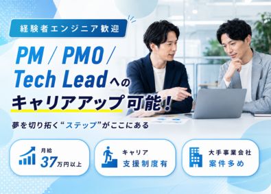 株式会社フェローシップ 大手事業会社・AI／DX案件に挑戦可能バックエンドエンジニア