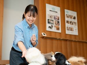 株式会社ＭＯＦＦ 総合職／生き物の管理・店舗運営／未経験歓迎／20代管理職在籍