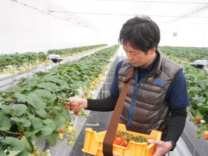 株式会社せいだ 事務スタッフ／新潟勤務／土日祝休み／転勤なし／賞与年2回