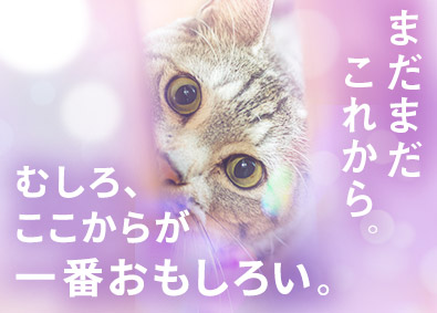 株式会社リクルートスタッフィング (リクルートグループ) 事務プロジェクトのリーダー／未経験歓迎／土日祝休／ブランク可