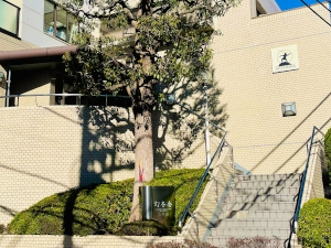 株式会社幻冬舎コミックス (幻冬舎グループ) 電子書籍の営業／未経験歓迎／年休120日／土日祝休み