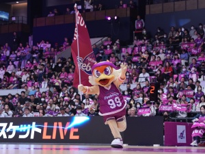 福島スポーツエンタテインメント株式会社 福島ファイヤーボンズの営業／月給33万円以上／住宅手当あり