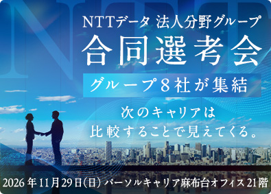 株式会社ＮＴＴデータ 法人分野グループ8社合同募集 開発／PM／SAPコンサル・エンジニア／プリセールス等