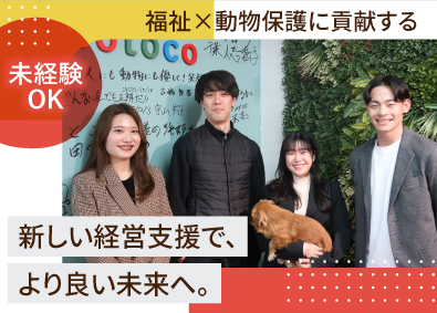 tocotoco株式会社 経営コンサルタント／月給30万円～インセン有／ペットと通勤可