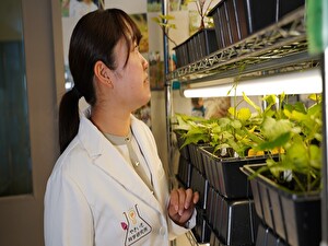 白ハト食品工業株式会社 食品メーカーの品質管理／月給30~50万円／土日祝休み