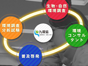 一般財団法人 九州環境管理協会 環境コンサルタント／環境調査・分析／生物・自然環境調査