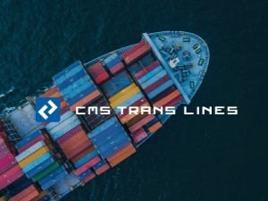 ＣＭＳ　ＴＲＡＮＳ　ＬＩＮＥＳ株式会社 輸出入オペレーション（国際物流）／在宅勤務相談可／年125休