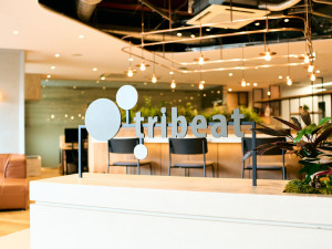 株式会社トライビート 経理／スキルを活かしてキャリア・待遇アップ／月給30万円～