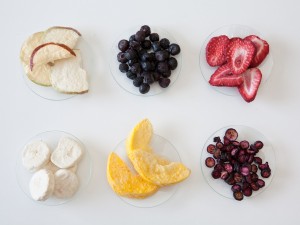 東洋技研株式会社 フリーズドライ装置のエンジニア／月給30万円～／年休125日