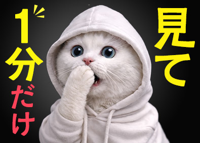 eGIS株式会社 ホワイトハッカー／未経験歓迎／リモート可能／残業月3.7時間