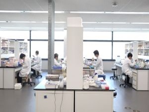 株式会社ＣＯ２資源化研究所 管理部門（事業開発・経営企画・経理・総務）／東大発ベンチャー