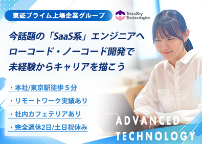 株式会社テラスカイ・テクノロジーズ(テラスカイグループ) 次世代のシステム開発を担うローコード・ノーコードエンジニア