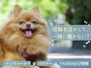 学校法人２１世紀アカデメイア 動物系専門学校の常勤教員（トリマーなど）／月給28万円～